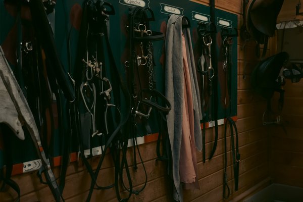 Kadınlar Günü İçin Trend Olan Pamuklu Eşarp Modelleri ile Şıklığı Yakalayın!